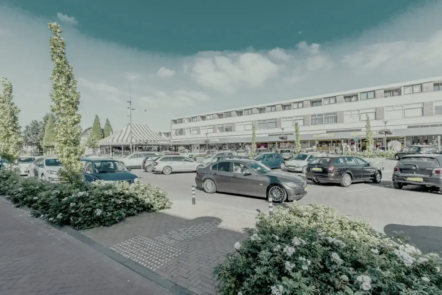 callunaplein_dieren_0008-1440x960