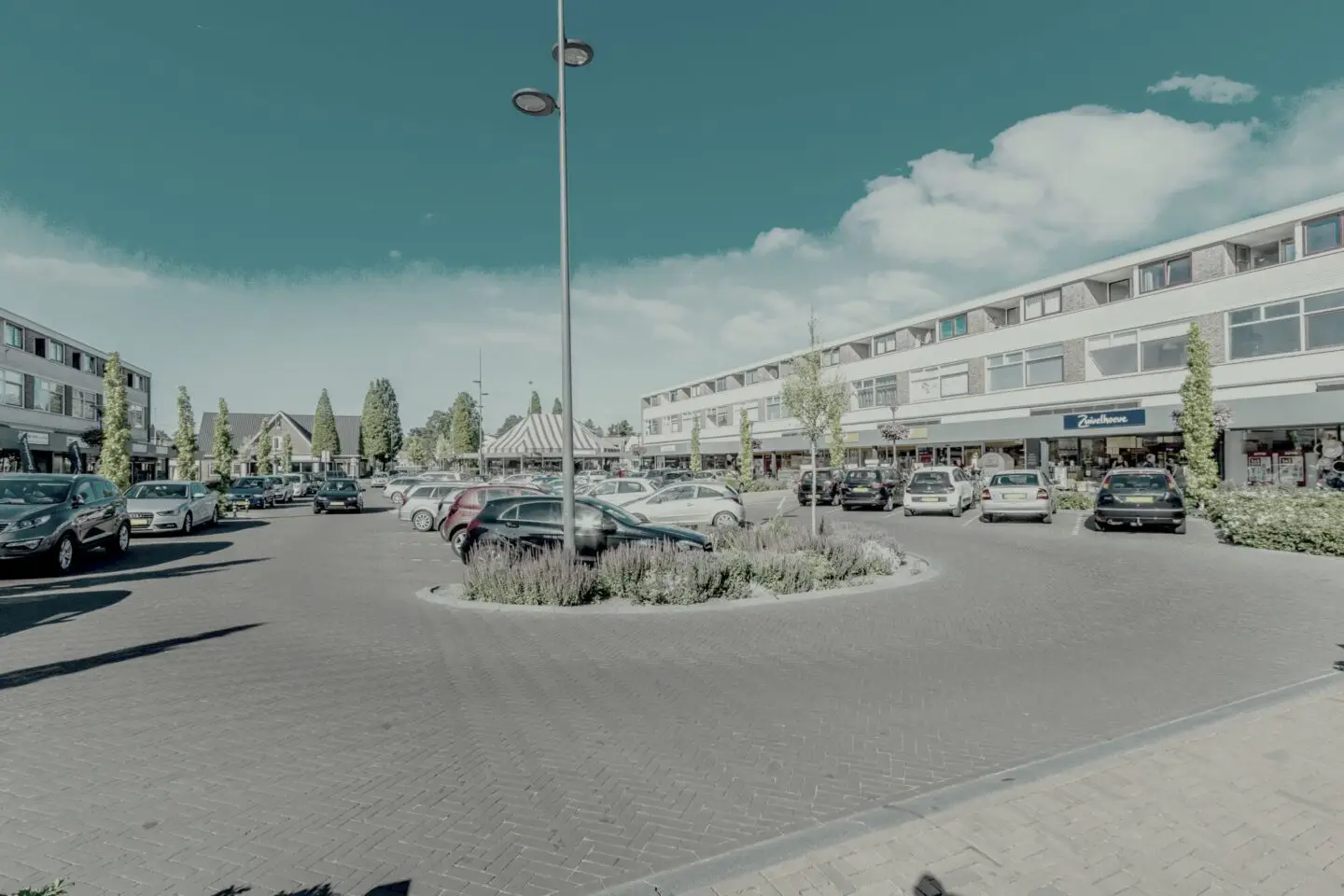 callunaplein_dieren_0009-1440x960