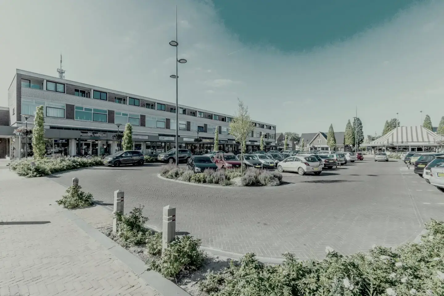 callunaplein_dieren_0015-1440x960